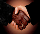translation services